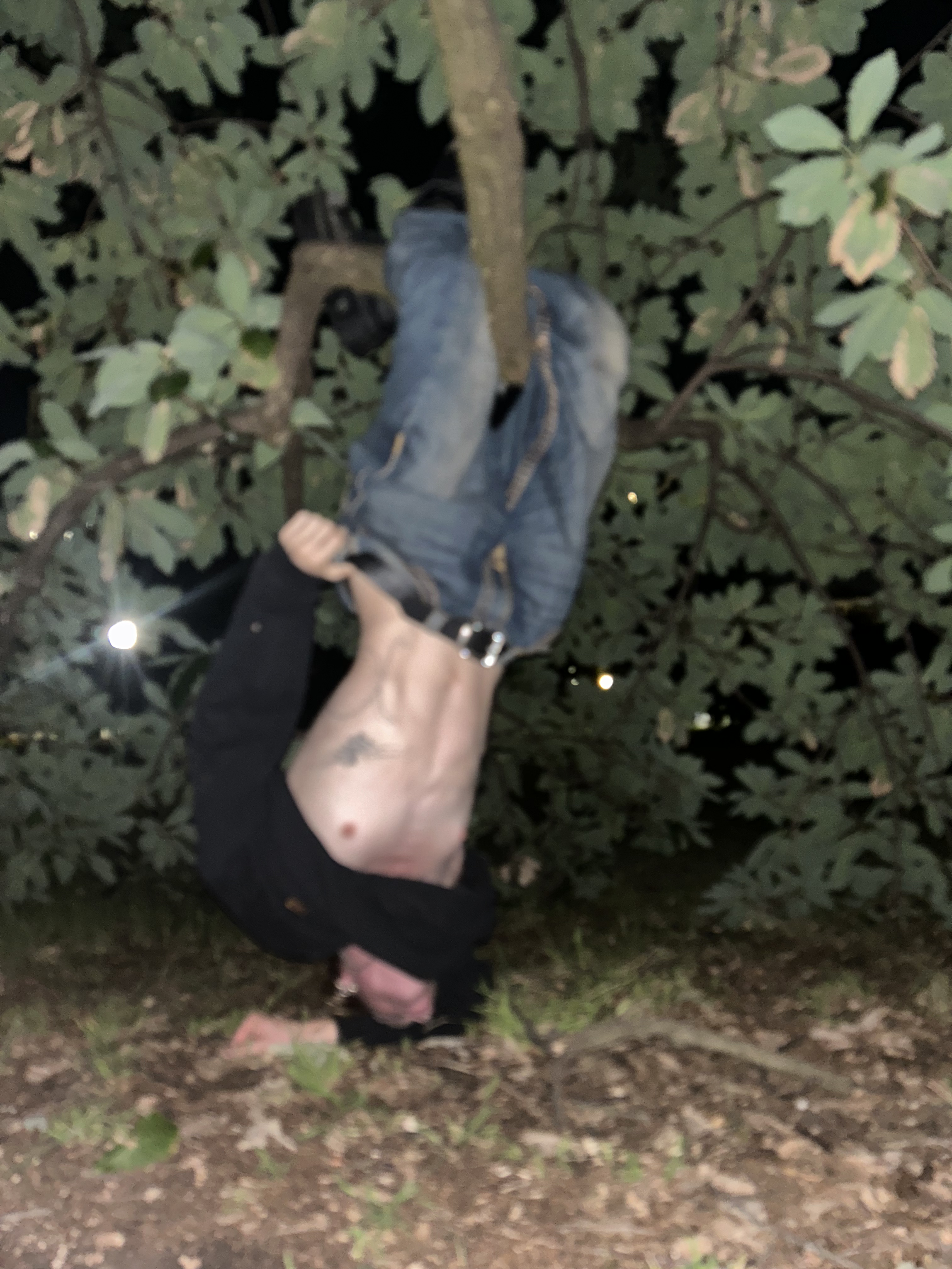heavenhanging2